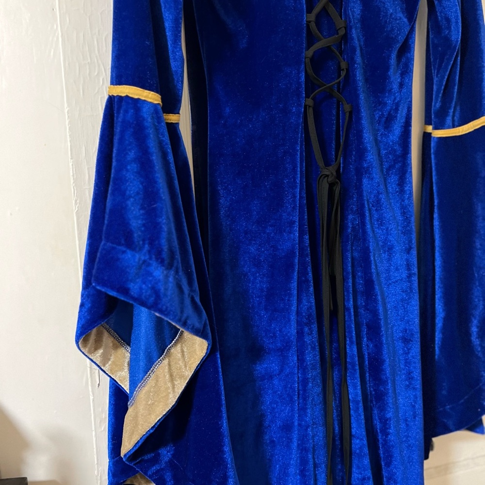 Deep Blue Velvet & Gold Long Sleeve Medieval/ Renaissance Style Dress, Cosplay - Picture 4 of 4